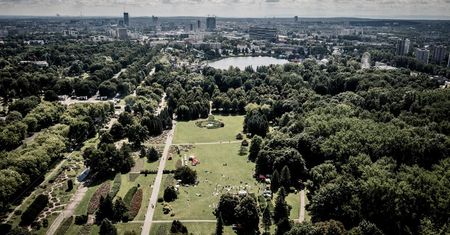 Chorzów. Inwestycje w Parku Śląskim. Co obejmą?