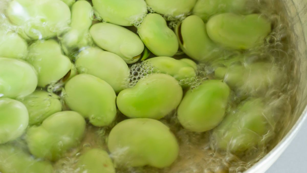 Niestety, gotowany bób często traci swój piękny, zielony kolor. 