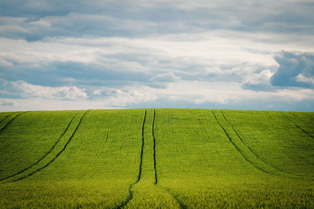Rewolucja w rolnictwie? W Nowej Hucie powstała pierwsza w Krakowie farma wertykalna. To uprawa ziół