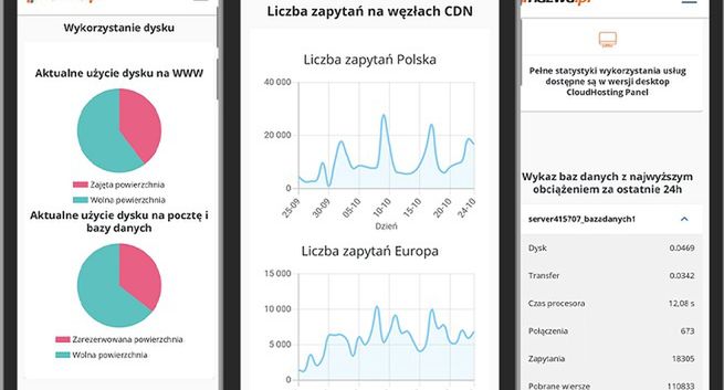 Nazwa.pl obcięła koszty, przez podatek 10 mln zł zysku mniej