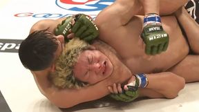 Były mistrz KSW znów błyszczy! Kolejny rywal musiał "odklepać" [WIDEO]