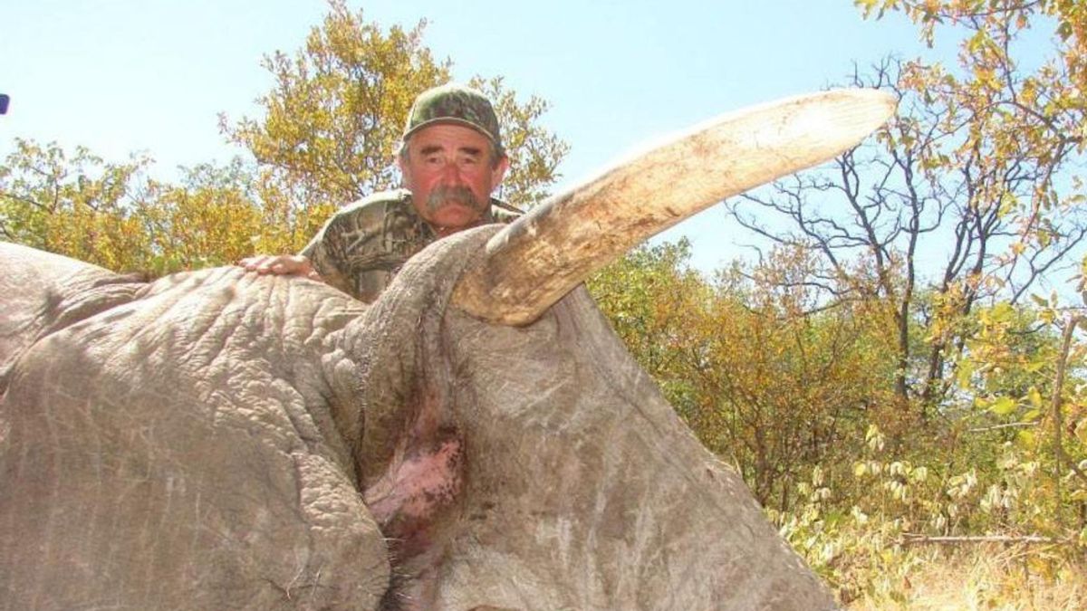Milioner i myśliwy zginął w Afryce. Stratowały go słonie