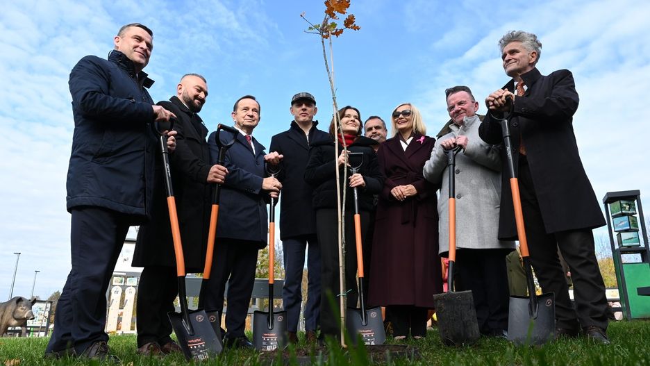 Akcja &#34;Tysiąc Dębów na Tysiąclecie Państwa Polskiego&#34; w Zagnańsku. Na zdjęciu od lewej: Wojciech Skruch - wiceprzewodniczący Sejmiku Województwa Małopolskiego, Jarosław Kwasek - członek zarządu województwa lubelskiego, Władysław Ortyl - marszałek województwa podkarpackiego, Wojciech Ślefarski - wójt gminy Zagnańsk, Anna Krupka - posłanka na Sejm i wiceprezes PiS, Roman Wróblewski - zastępca dyrektora Lasów Państowowych w Radomiu, Renata Janik - marszałek województwa świętokrzyskiego, Marek Bogusławski - wicemarszałek województwa świętokrzyskiego i Krzysztof Słoń - senator RP.