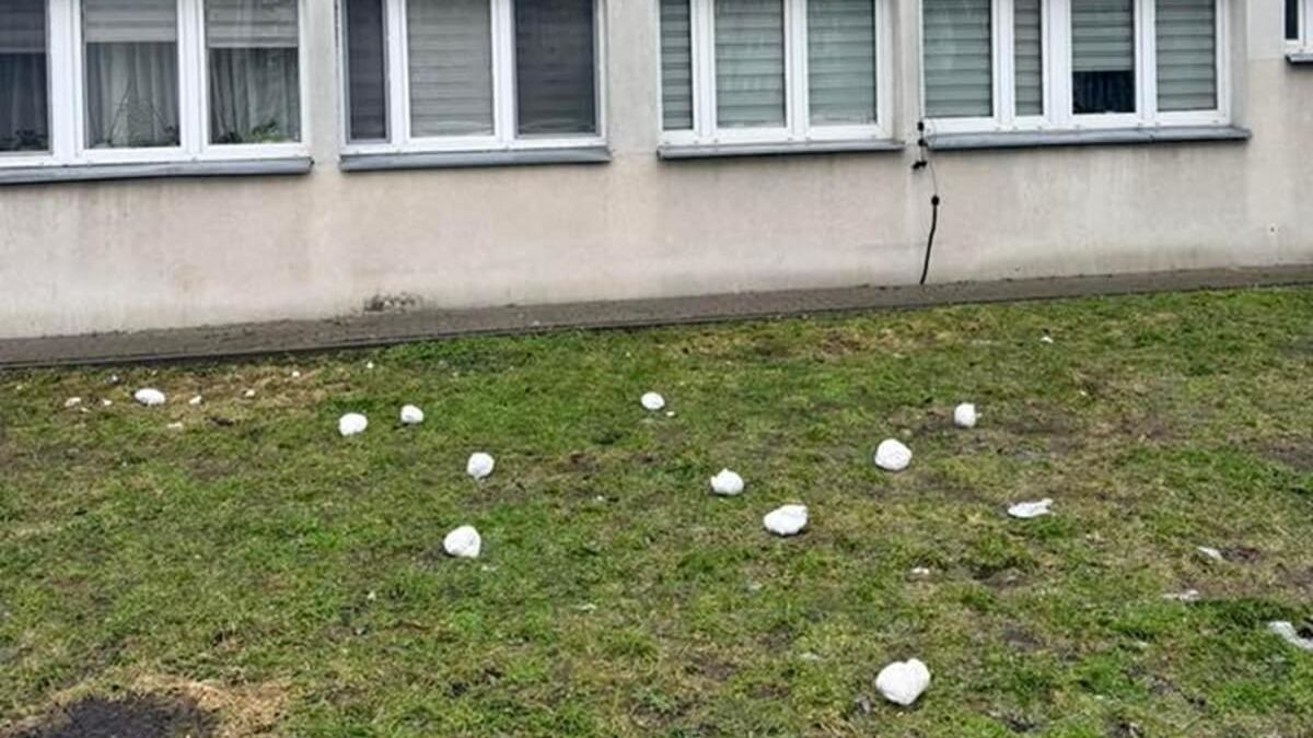 Pampersy na trawniku pod blokiem przy ul. Krzemienieckiej