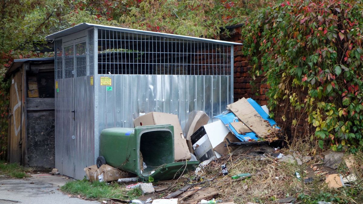 Chcą porządków w śmietnikach. Mogą być nowe kary