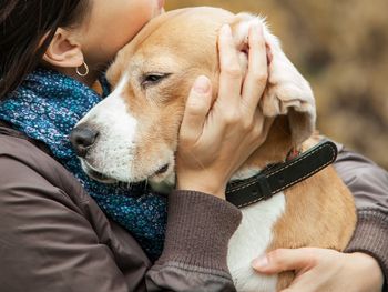 Nigdy nie rób tego psu w sylwestra. "Może być przyczyną ataku serca"