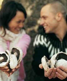 Zarobili kilka tysięcy złotych. Na grzybach!