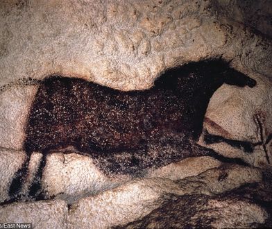 Polak odkrył malowidła jak z słynnej jaskini Lascaux