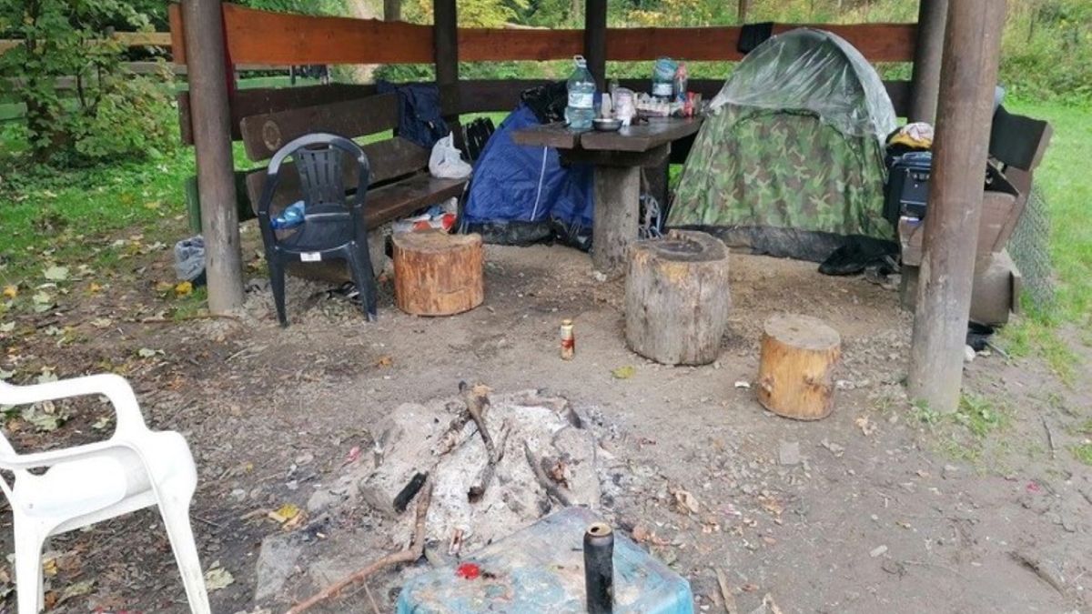 Tak wygląda miejsce, w którym koczowali grzybiarze z Rumunii 