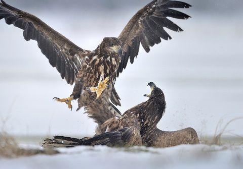 Jak fotografować F-16? Odrzutowe warsztaty z Akademią Nikona 2