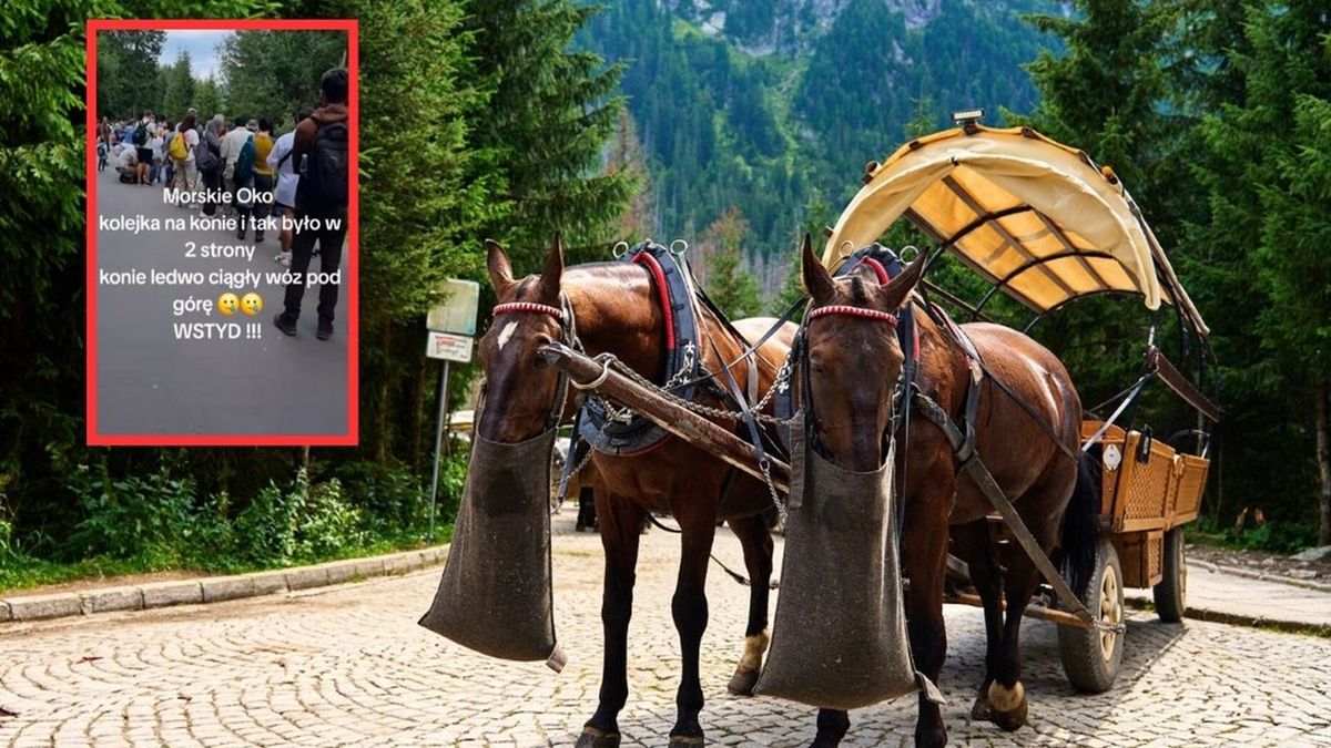 Taka sytuacja na trasie do Morskiego Oka
