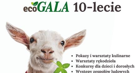 10-lecie Targu Żywności i Rękodzieła w Galerii Gala. Sprawdź zaplanowane atrakcje