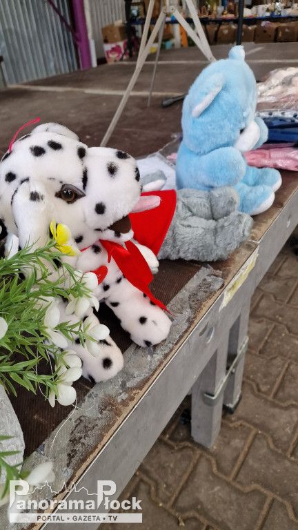 32. Finał Wielkiej Orkiestry Świątecznej Pomocy w Płocku