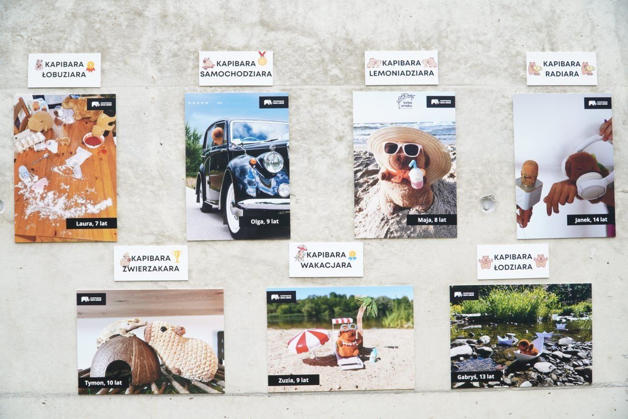 W tę sobotę w łódzkim Orientarium ZOO rządziły kapibary