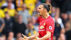 Zlatan Ibrahimović: Chcę być szefem Manchesteru