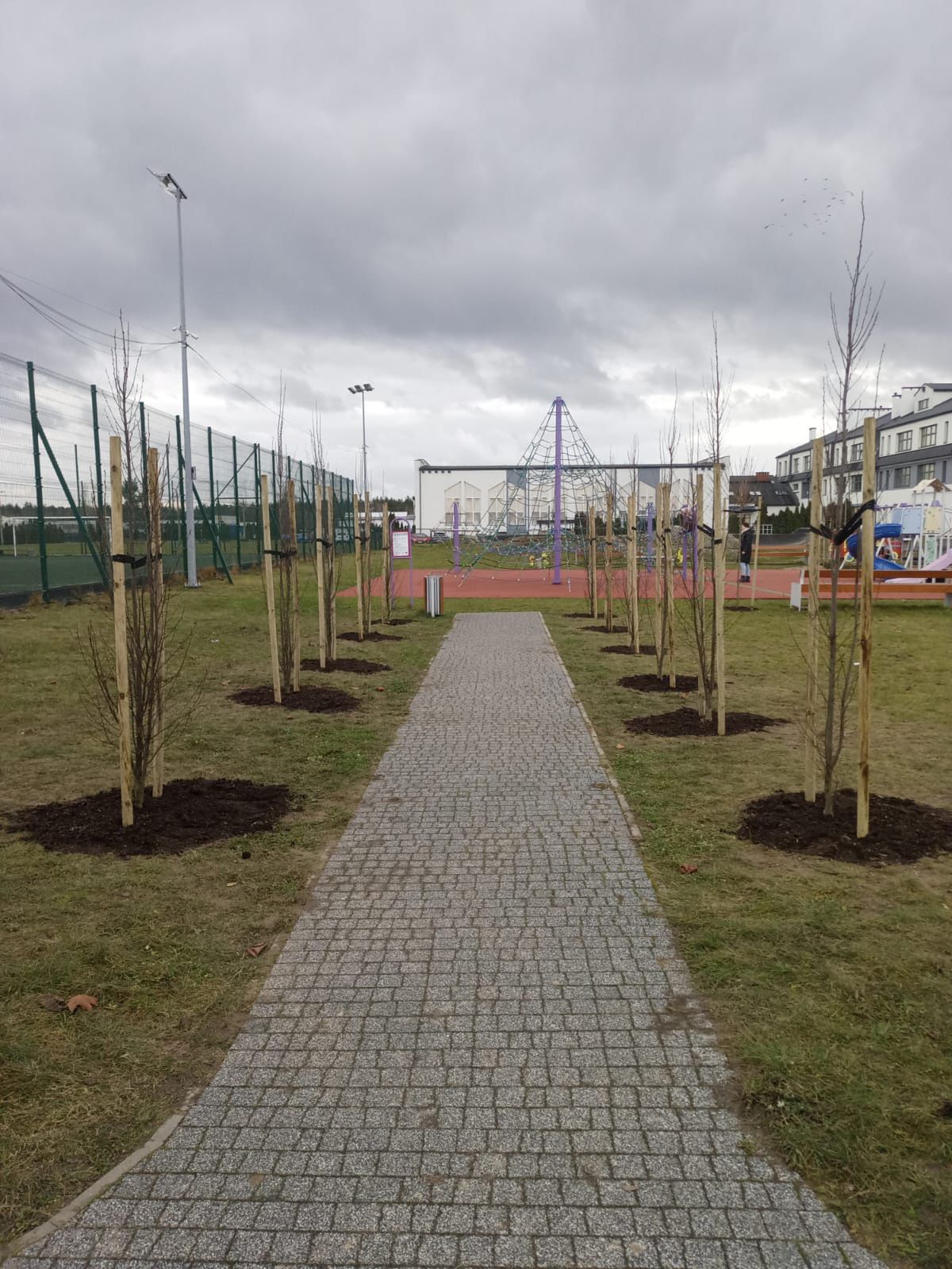 Coraz więcej drzew w podtoruńskiej gminie