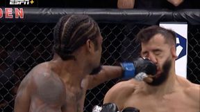 Destrukcja! "Superman" ciężko nokautuje na UFC 281 [WIDEO]