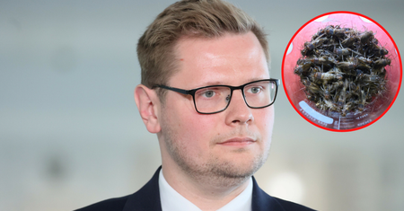 Ziobrysta straszy robakami. Upomnienie trochę pomogło
