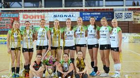 W debiucie pokazać walkę - zapowiedź meczu KSZO Ostrowiec Św. S.A. - PGE Atom Trefl Sopot