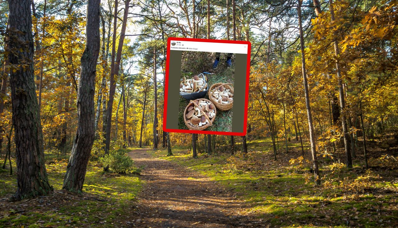 "Eldorado". Ujęcie z Podlasia zapiera dech