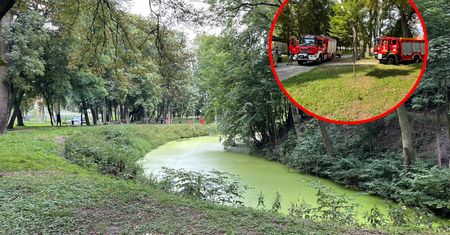 Tragiczne odkrycie na spacerze. W parkowej fosie pływały zwłoki