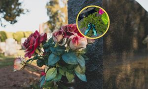 "Znak pamięci". Oto co składają leśnicy na grobach