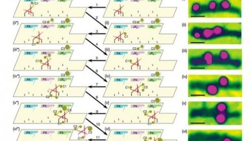 Pierwsze nanoroboty DNA przystąpiły do działania - nadchodzi nanorewolucja? 1