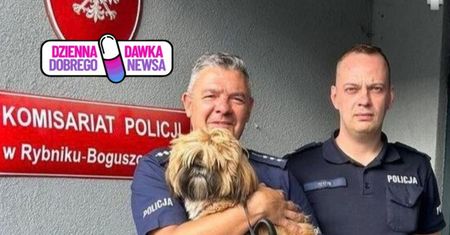 Szedł przez las. Zobaczył go pod drzewem. Zaalarmował policję