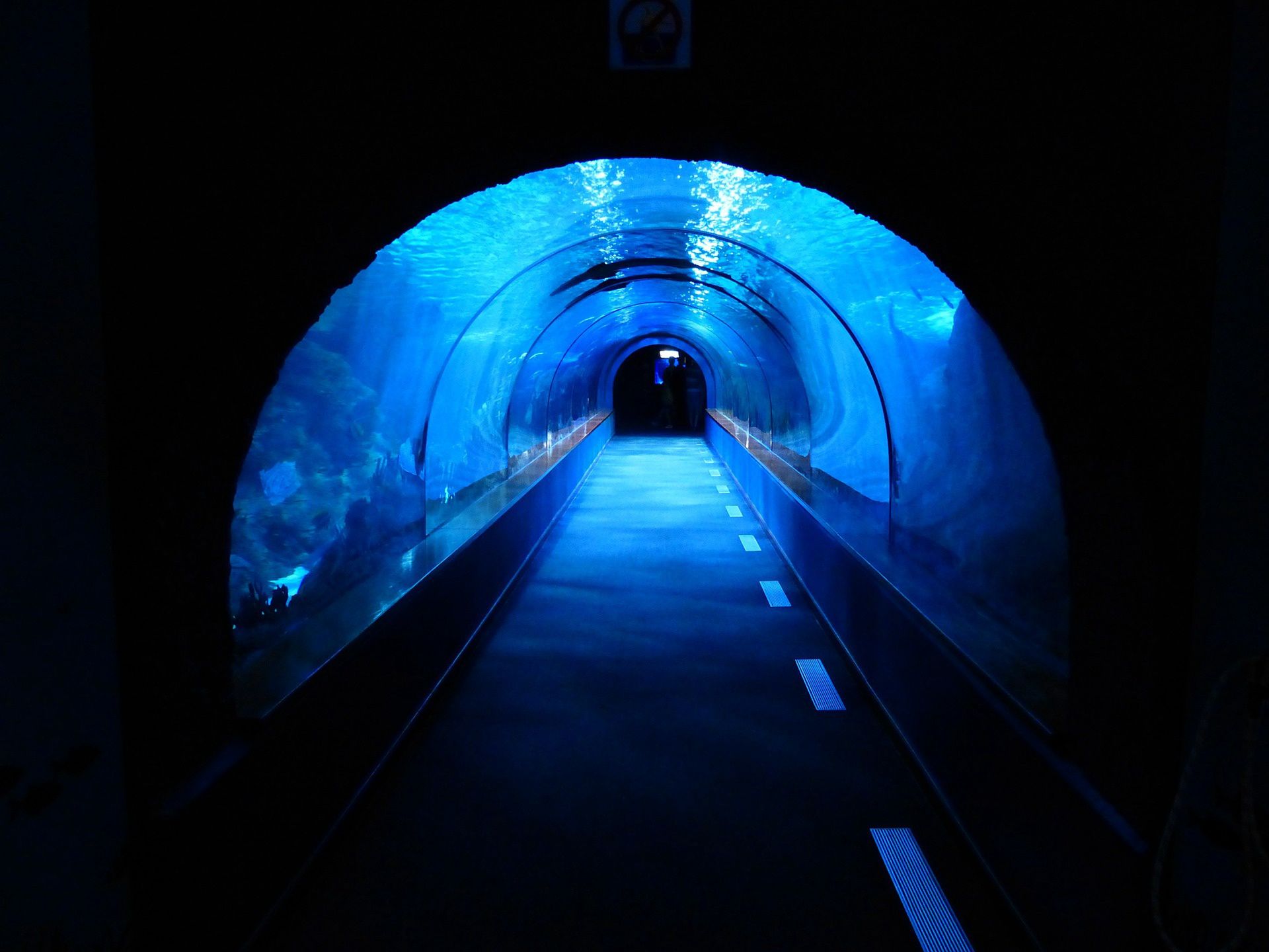 tunel