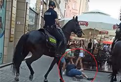 Wpada pod kopyta, wstaje i ucieka dalej. Dramatycznie nagranie z Katowic