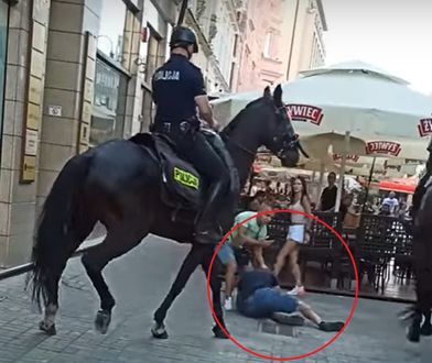 Wpada pod kopyta, wstaje i ucieka dalej. Dramatycznie nagranie z Katowic