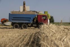 Jest przełom ws. eksportu ukraińskiego zboża? "W piątek podpiszemy umowę"