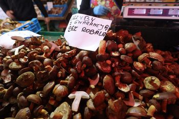 Borowiki za 50 złotych? Ceny grzybów na targowisku w Dąbrowie Górniczej