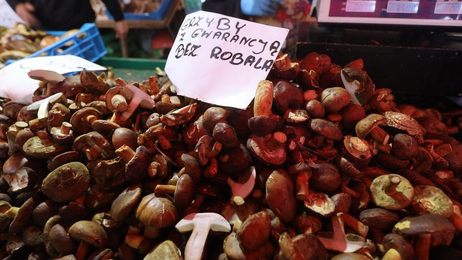 Ceny grzybów na Targowisku miejskim w Dąbrowie Górniczej