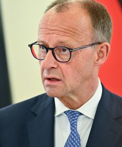 Kontrole graniczne Niemiec. Padła deklaracja kanclerza