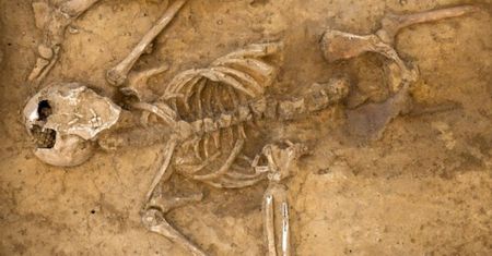 Archeolodzy znaleźli to na polu bitwy pod Waterloo. "Nigdy czegoś takiego nie widziałem"