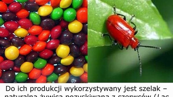 10 obrzydliwych substancji, które zjadasz na co dzień 1