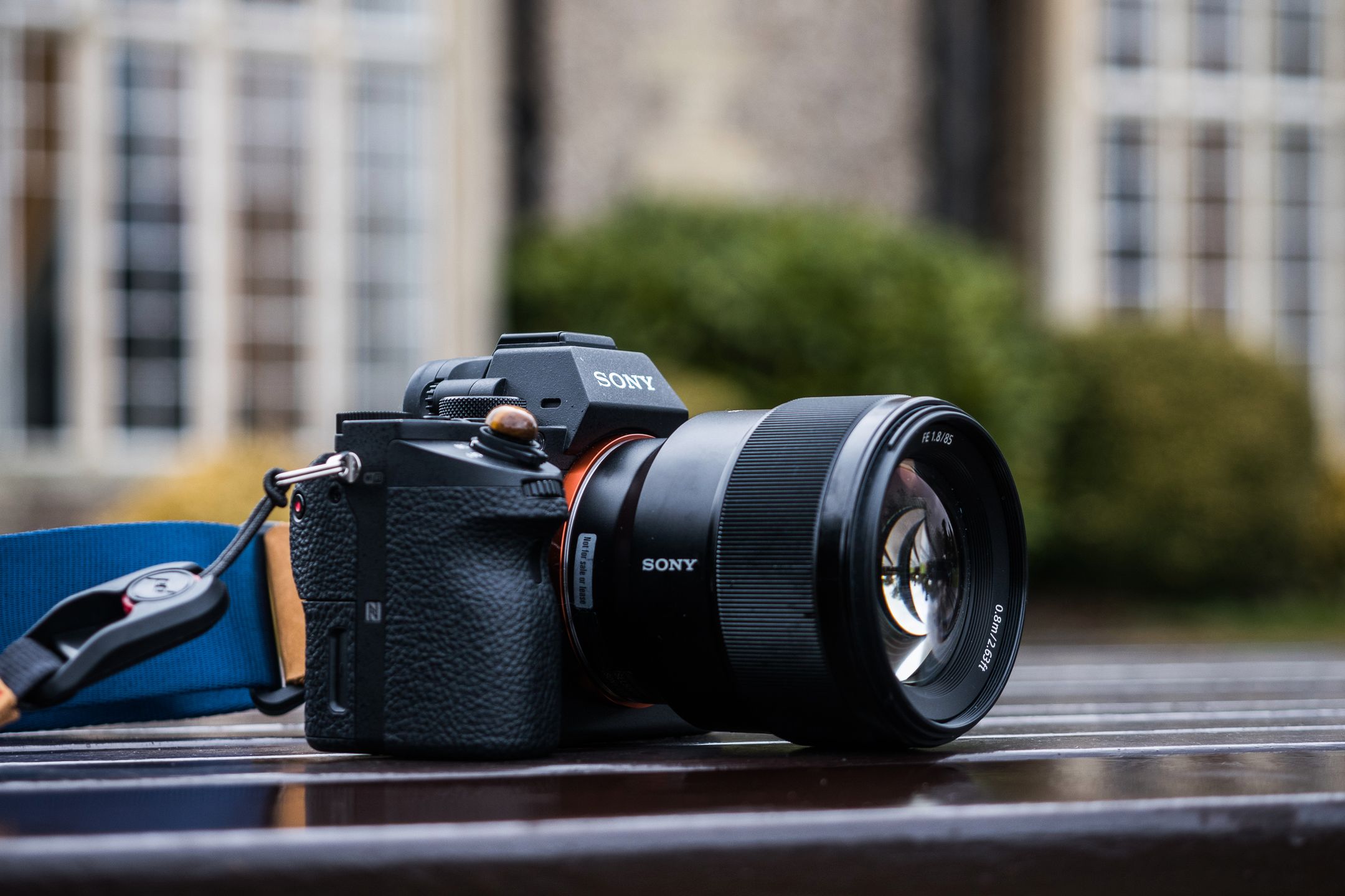 Nowe portretówki Sony FE 100 mm f/2.8 i 85 mm f/1.8 - pierwsze wrażenia i zdjęcia przykładowe 6