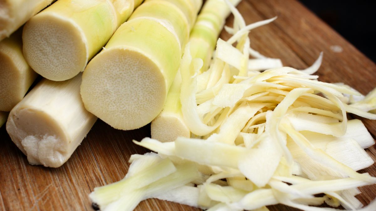 Pędy bambusa warto wykorzystywać w kuchni