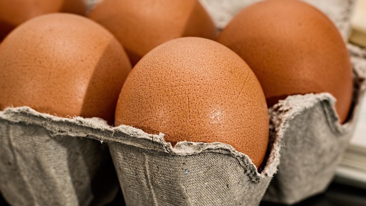 Dlaczego jajka powinno się przechowywać szerszą stroną ku górze?