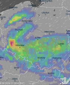 Prognoza pogody podpowiada, gdzie wybrać się na długi weekend