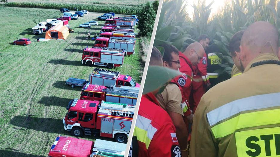 110 osób szukało seniorki, która zgubiła się na polu kukurydzy