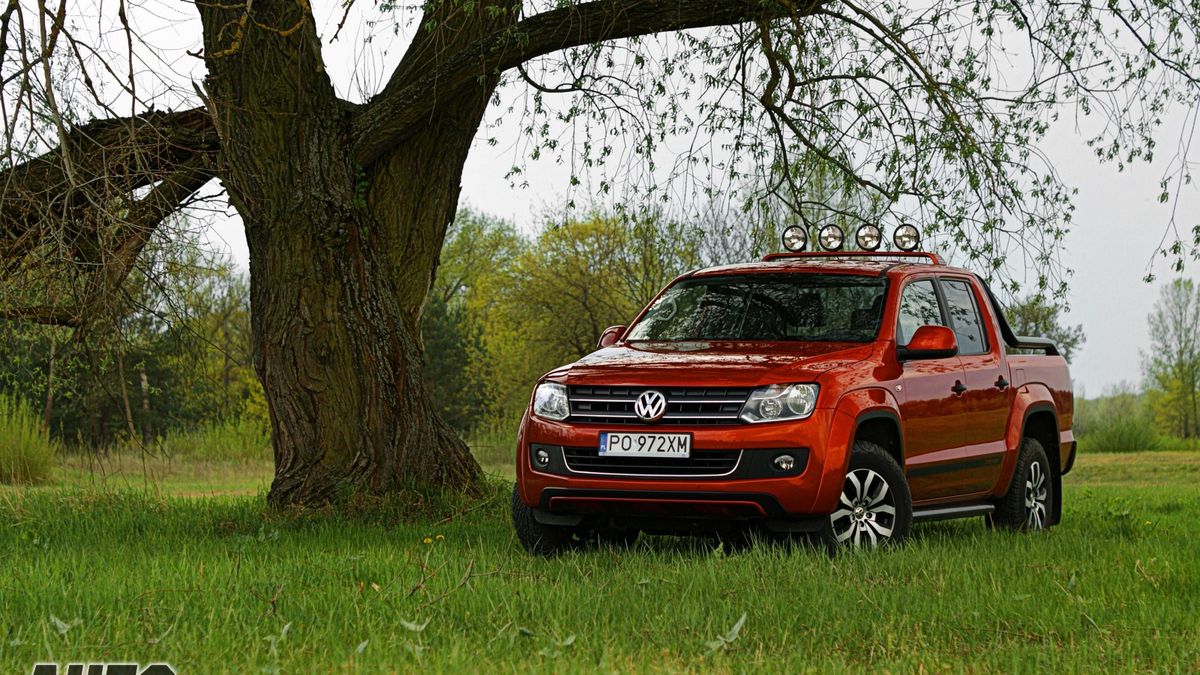 Zdjęcie ilustracyjne do artykułu