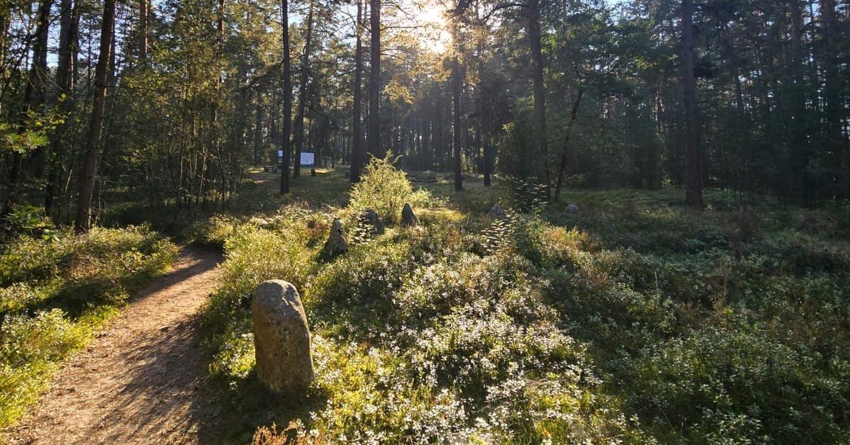 Magiczne miejsce w pobliżu Kociewia. Elipsa ma podobno niezwykle pozytywną energię