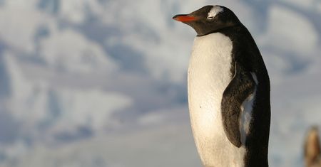 Zaczynasz przygodę z systemem Linux? Wybierz jedną z tych trzech dystrybucji
