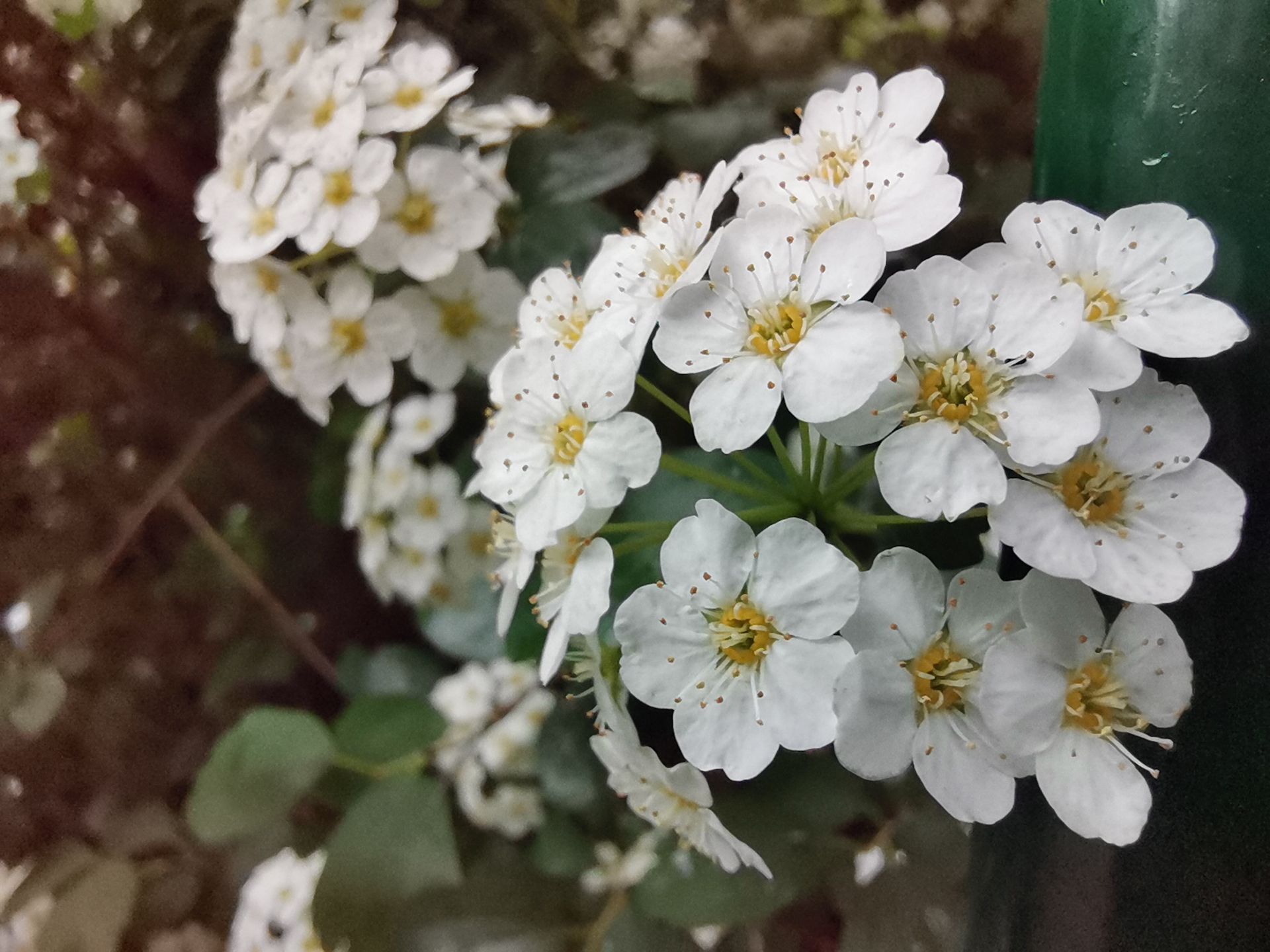 Motorola One Macro będzie kolejnym smartfonem o fotograficznym zacięciu. Oto, jak wygląda 3