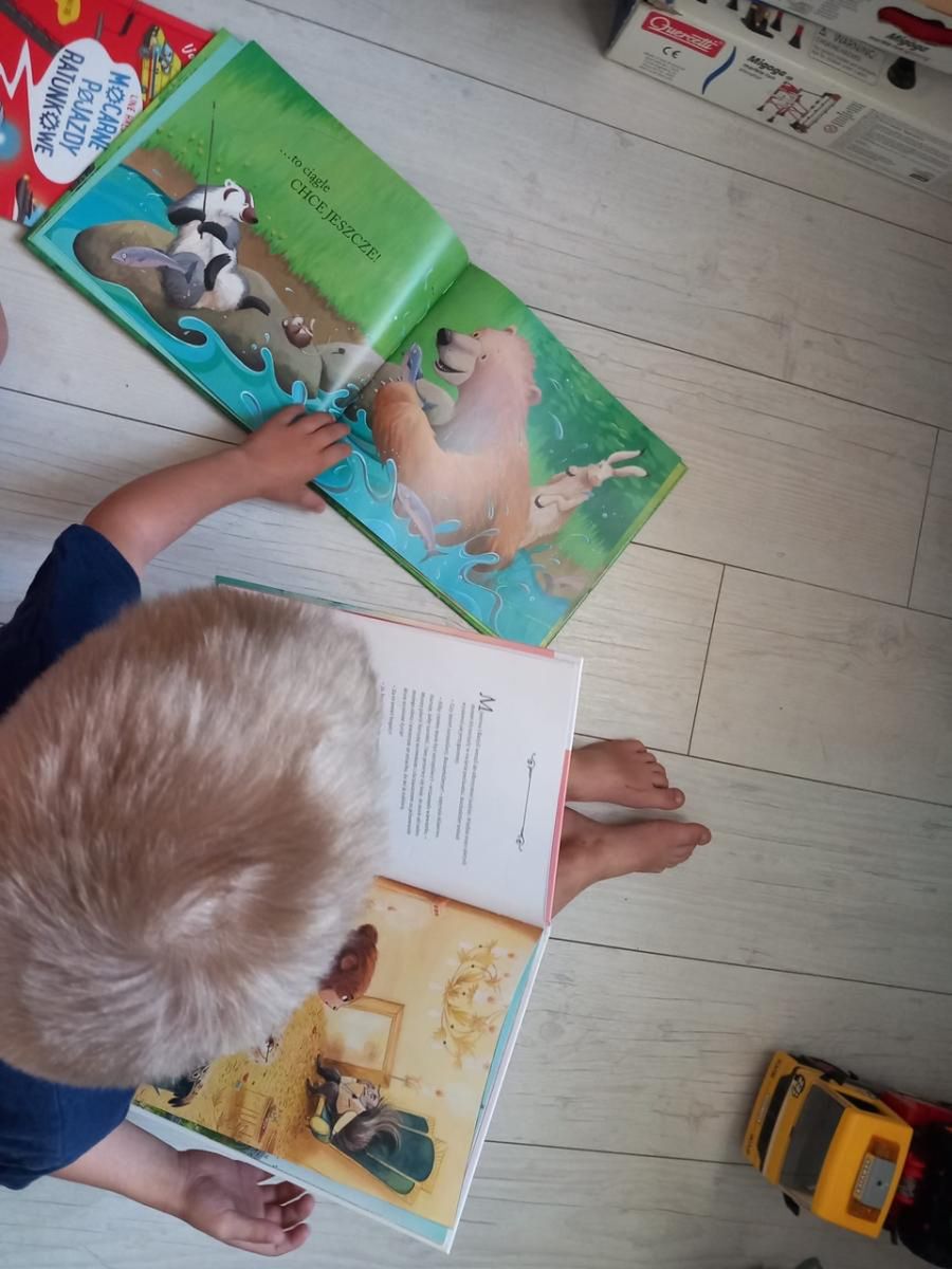 Pan Miś jest głodny