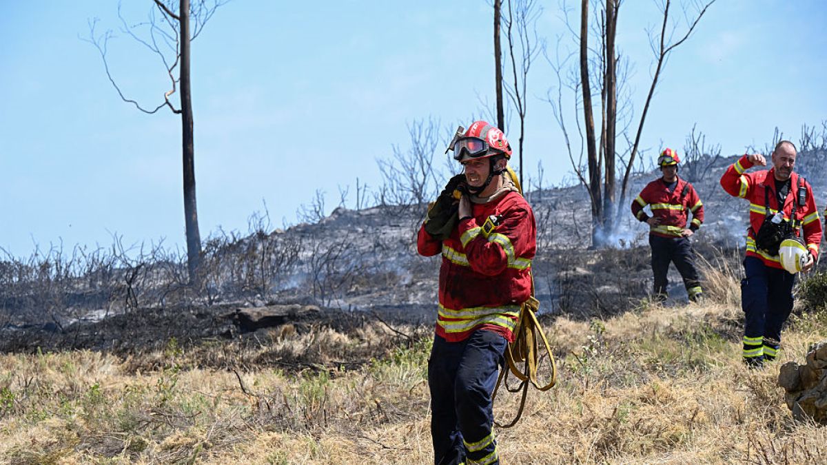 Portugalscy strażacy walczą z pożarami
