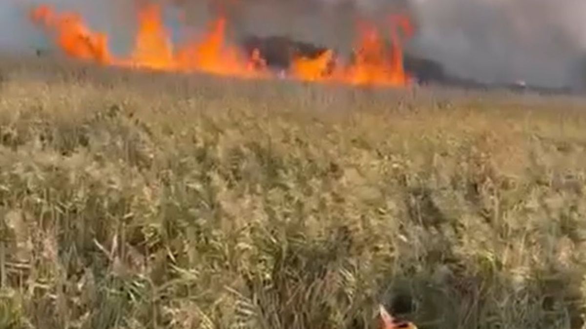 Pożar na terenie postulowanego PN Doliny Dolnej Odry