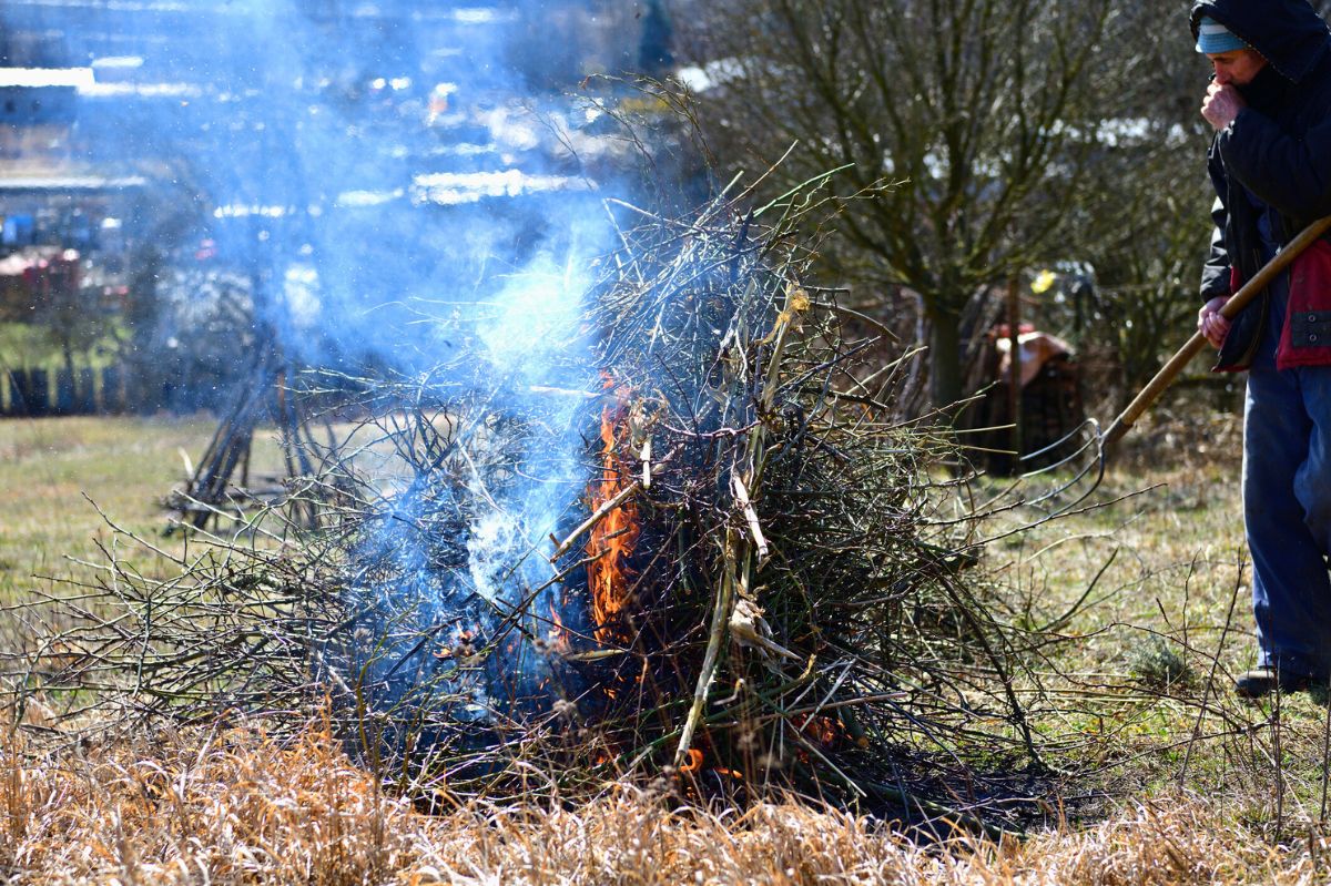 Kusi cię, aby zimą palić gałęzie? Możesz to zrobić, ale pod jednym warunkiem